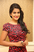 Vishaka singh at rowdy fellow event-thumbnail-8