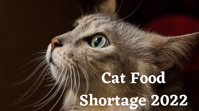 cat food shortage 2022