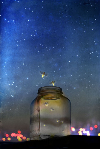 Fireflies In A Jar At Night. FIREFLIES IN A JAR AT NIGHT