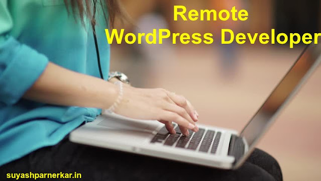 Remote Wordpress Developer