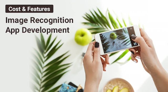 The Cost of Image Recognition Software Development