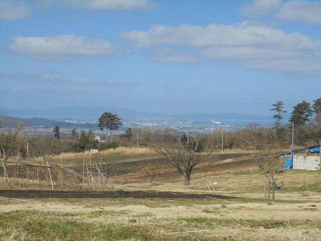 牧場の風景