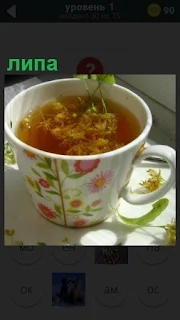 В кружке заварен чай с липой и на поверхности плавают семена