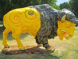 IMG_1358 (Medium)