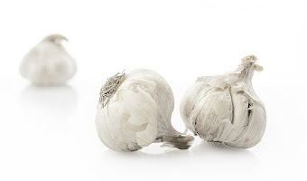 HOW TO GROW GARLIC