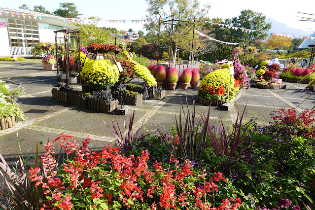 鳥取県西伯郡南部町鶴田　とっとり花回廊　エントランス展示