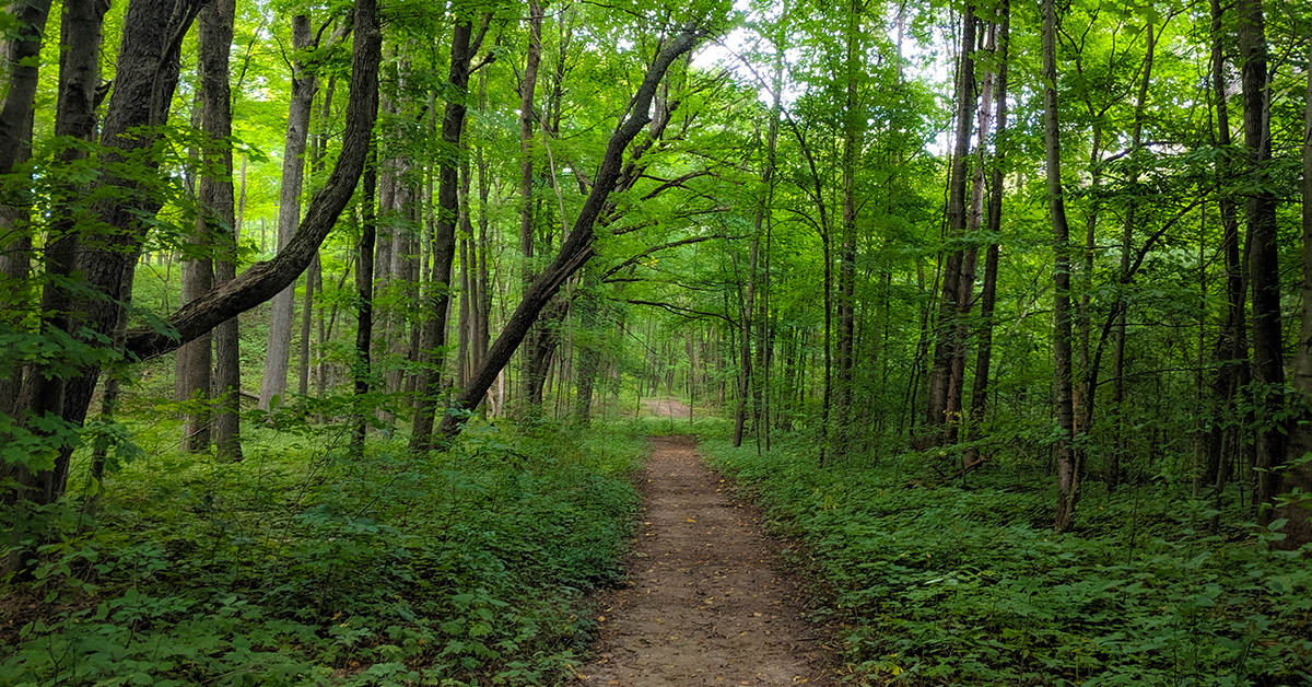 Ice Age Trail Milwaukee River Segment