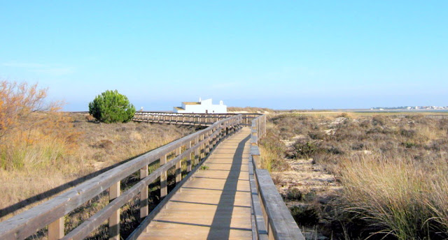 parque-natural-da-ria-formosa-olhao-algarve