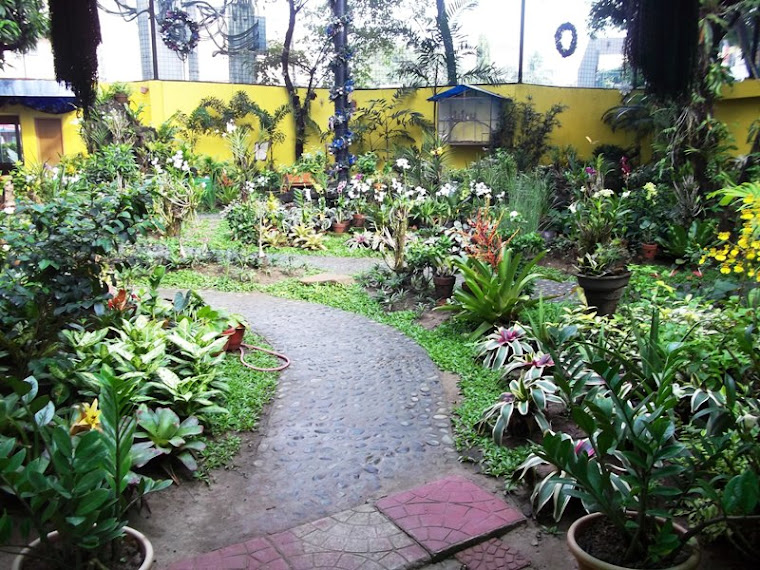 Mandaluyong's Hidden Eden-at the three quarters view point.