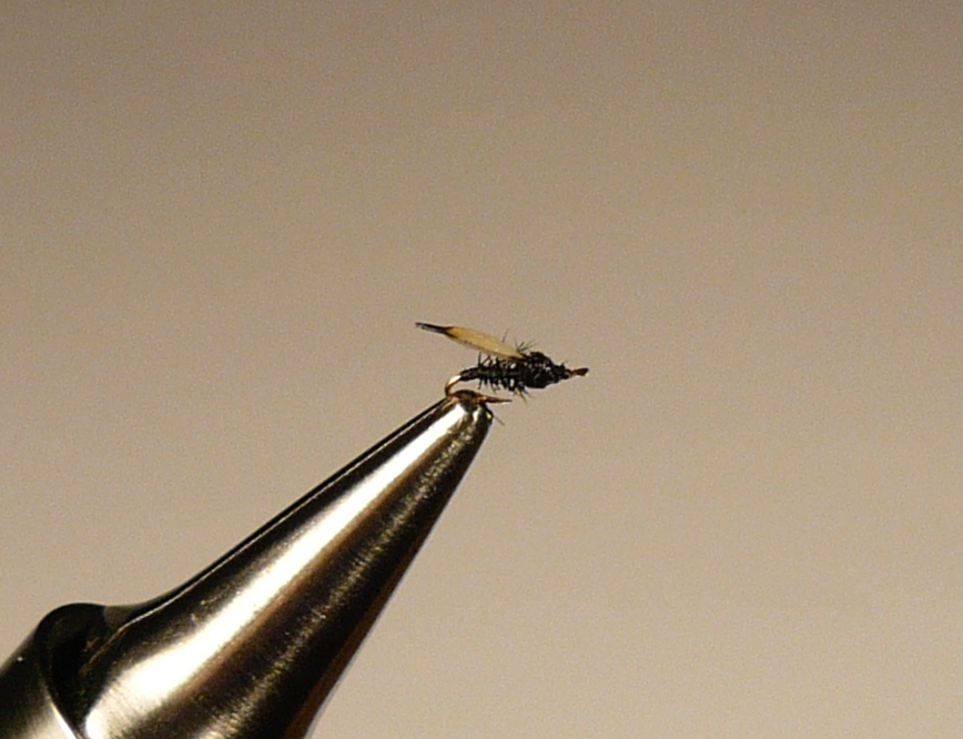 Tying and Fishing Tiny Flies: The worlds smallest hook today