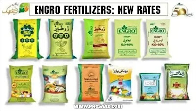 Engro Fertilizer Price in Pakistan