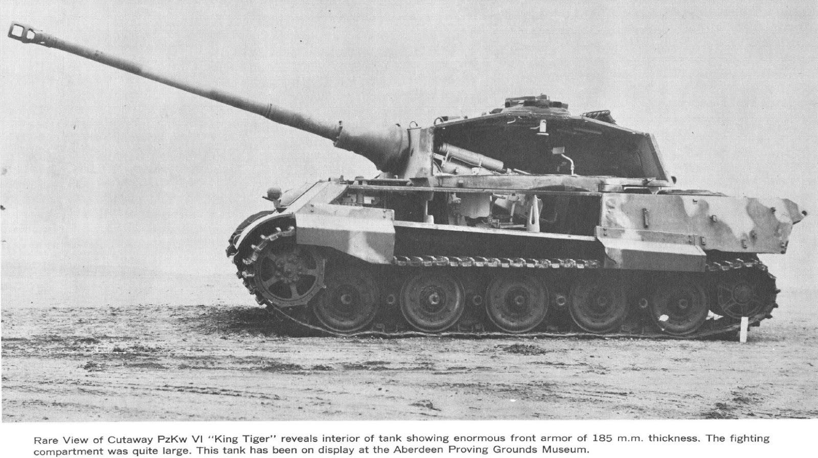  TMP Stalingrad s new Tiger  II set of crew burst into 