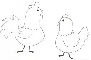 gallo_y_gallina