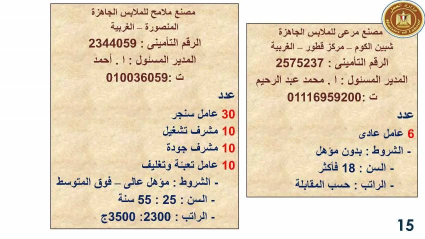 وزارة القوى العاملة تعلن عن  3717 فرصة عمل جديدة في 13 محافظة لمختلف التخصصات