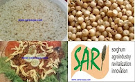nasi goreng sorgum