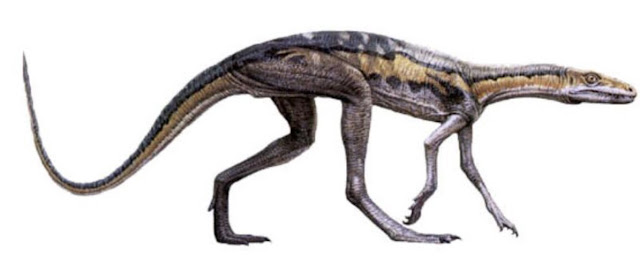 Lagosuchus, ранний вариант крокодила