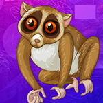 Games4King - G4K Slender Loris Escape Game