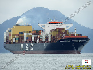 MSC Domitille