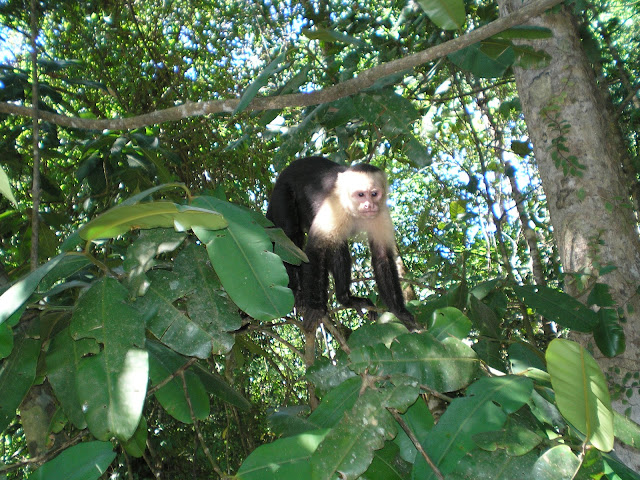 Costa Rica National parks