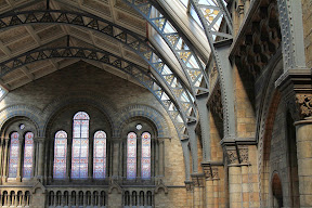 Photographs of the Central Hall of the British Natural History Museum: Monkeys, Beams, and Arches