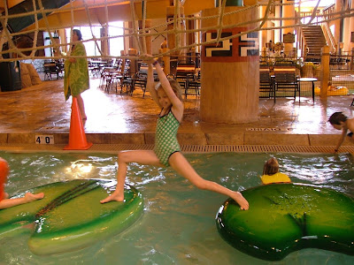 great wolf lodge in traverse city