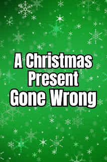 English Phrase Collection | English Christmas Humour Collection | A Christmas Season Ticket Surprise