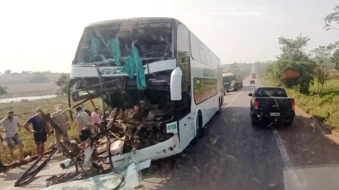 Ônibus da Eucatur fica destruído após colisão na BR-364