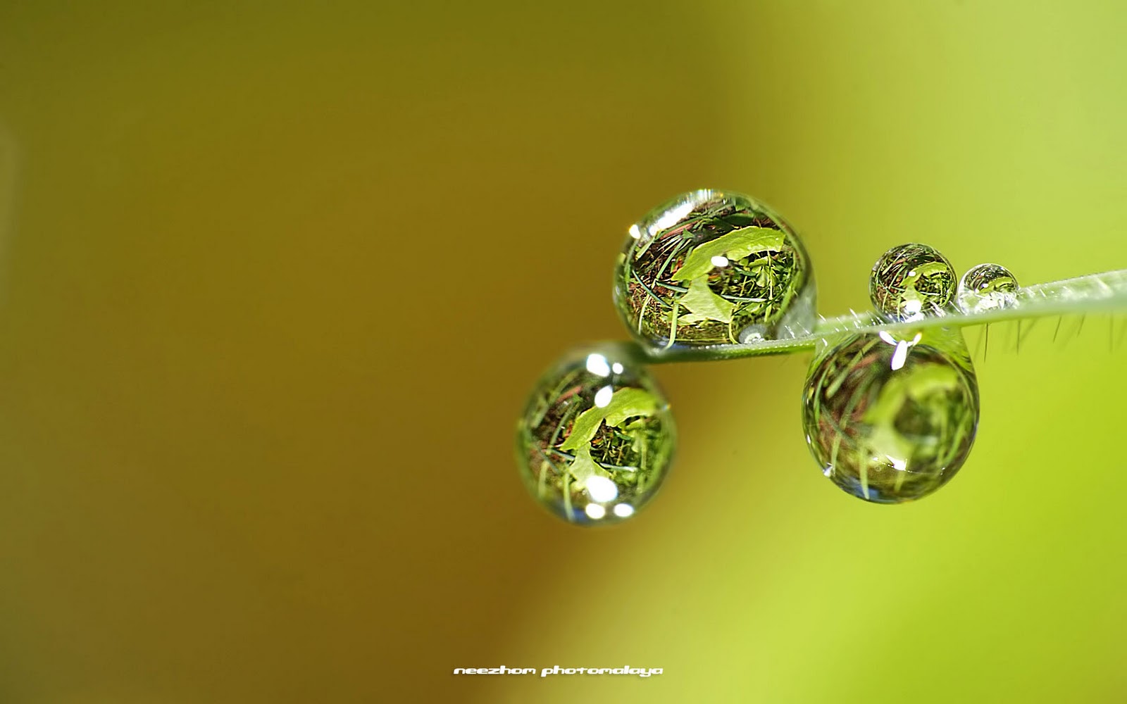 Top and bottom water drops with refraction