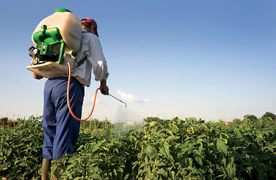 Health Issues Associated with Exposure to Pesticides - El Paso Chiropractor