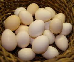 How to distinguish local and white chicken eggs