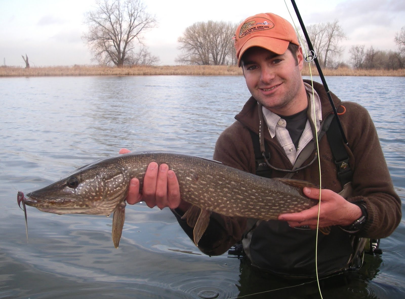 Colorado Fly Fishing Reports: Fly Fishing for Pike in Colorado (a