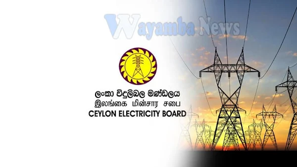 Electricity Board does not allow privatization
