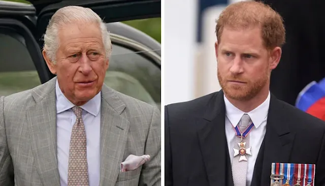 King Charles Delivers a Brutal Snub to Sussex: Prince Harry Excluded from BBC Royal Documentary