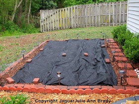 Weed Barrier Cloth Protecting Sunflower Seedlings ~ JaguarJulie