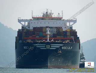 MSC Lily