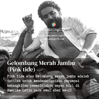 Gelombang Merah Jambu atau Pink tide