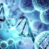  For Class 10 CBSE Biology, Chapter 1 is typically about "Life Processes." This chapter focuses on fundamental processes necessary for living organisms. Here's a brief explanation: