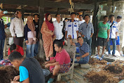 Pertama Kali Ketemu, Petani Rumput Laut Langsung Jatuh Hati pada A.M.Ali Gaffar
