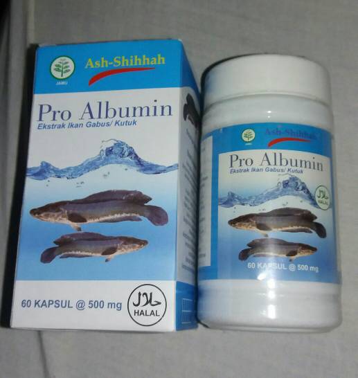 jual pro albumin ash shihhah ekstrak ikan gabus asli