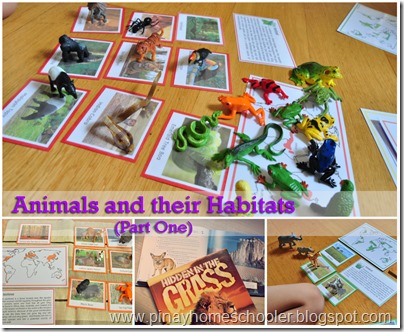 habitatAct copy