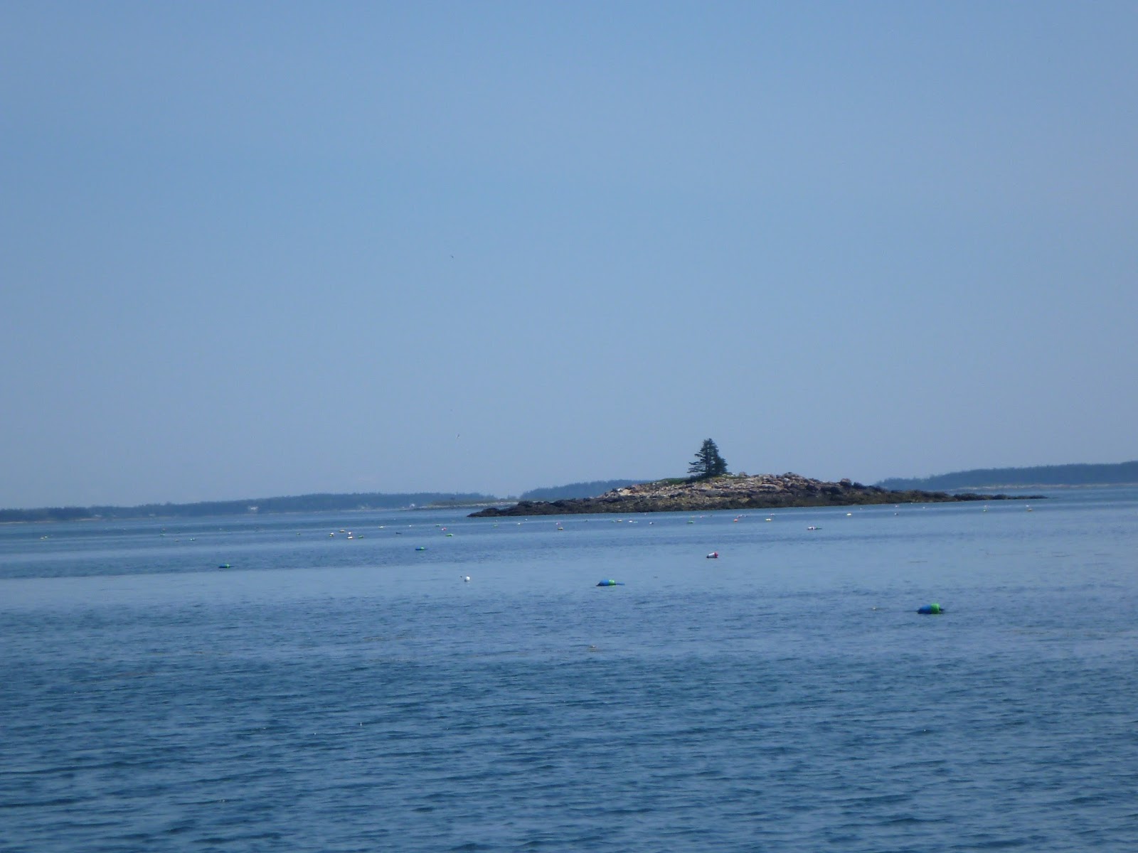 Voyages&gt;`·.¸¸.·´¯`·¸&gt; : On A Rocky Maine Island 