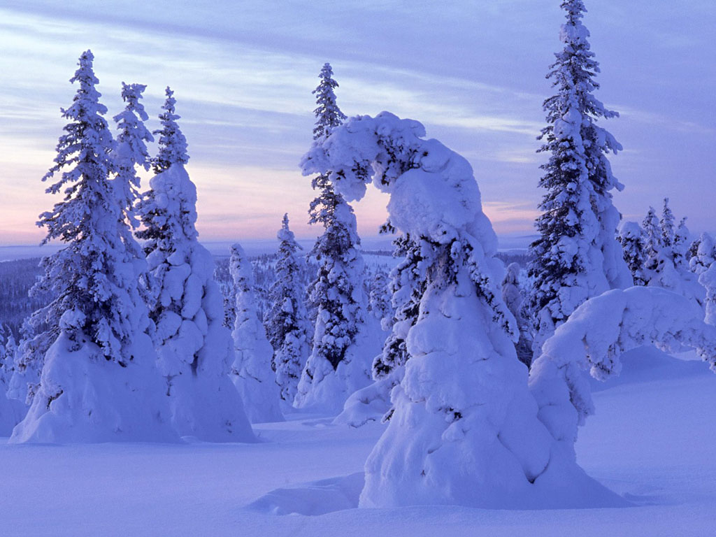 Finland wallpaper images Lapland