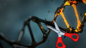 CRISPR: Το ψαλίδι της γενετικής  - Η γενετική μηχανική θα αλλάξει τα πάντα για πάντα – CRISPR (βίντεο)  _βιοηθική 