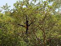 canyon sumidero viaggio in solitaria fai da te