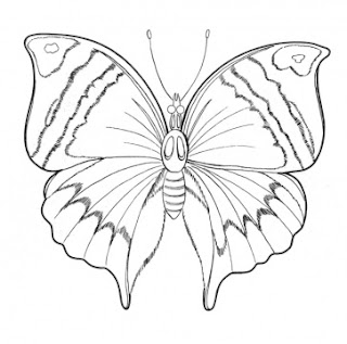 cute+butterflies-coloring-pages-.jpg