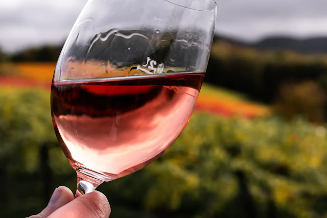 Una mano sosteniendo una copa con vino rosado sobre fondo de viñedo