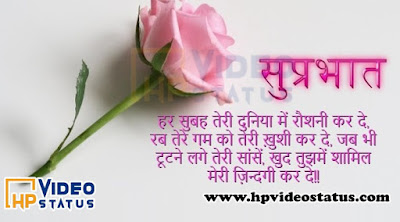  Good Morning Hindi Messages For Him, Good Morning Gujarati Messages For Her