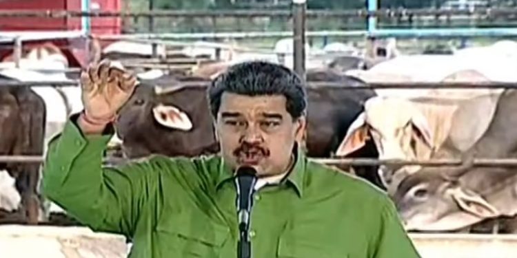 Maduro confirmó plan para entregar tierras venezolanas a productores extranjeros