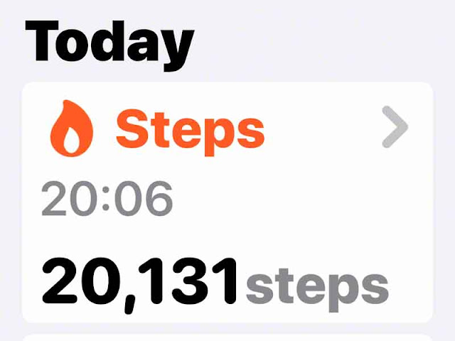 count, steps, iPhone