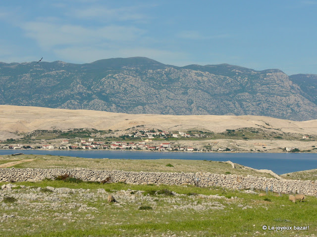 Croatie - île de Pag